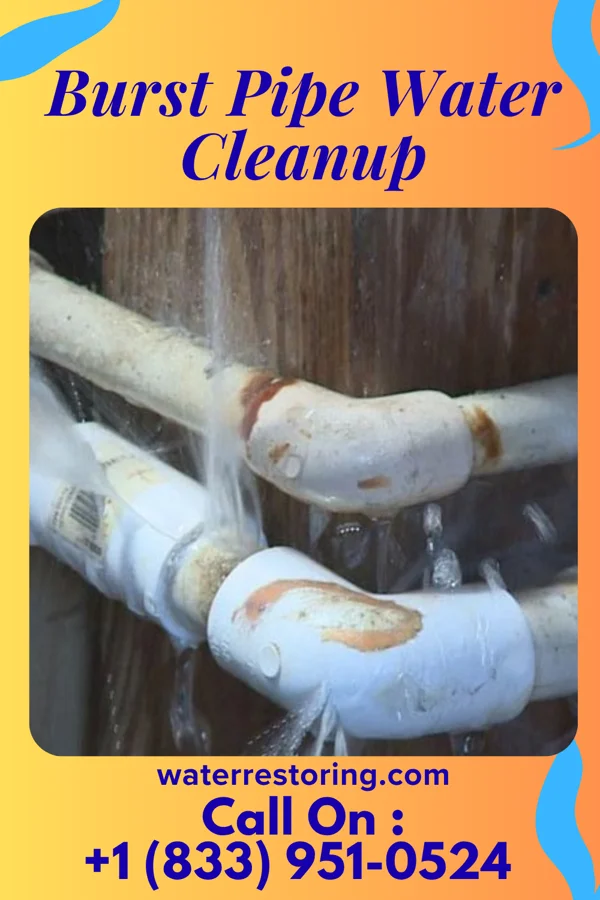 Burst Pipe Water Cleanup in Martha, OK