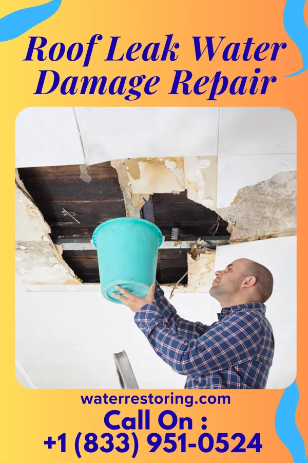 Roof Leak Water Damage Repair in Martha, OK