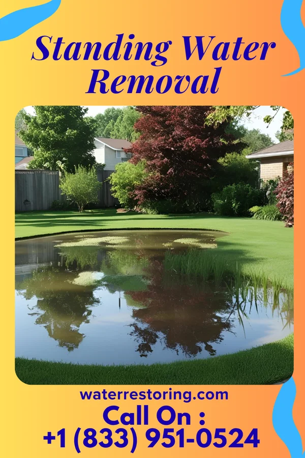 Standing Water Removal in Martha, OK